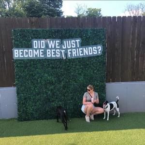 Meet your Posher, Ana